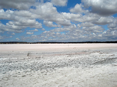 White Lagoon salt lake_1