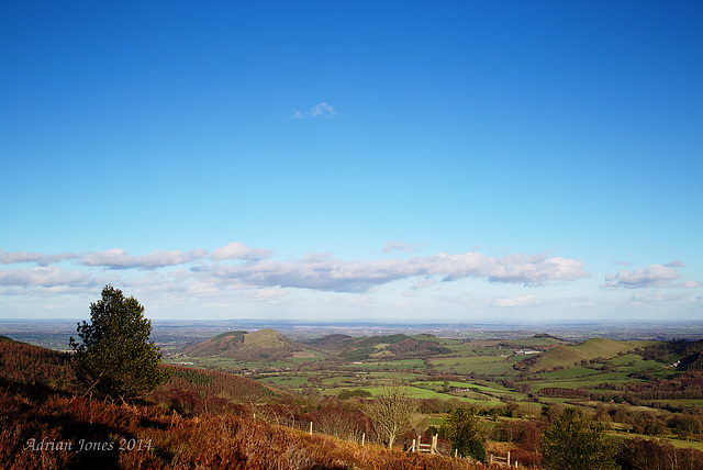 A Shropshire View