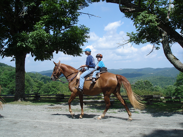Equitación celestial / Heavenly horse riding / Équitation paradisiaque.
