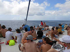 Caribe en Catamaran