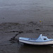 A beached small craft
