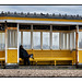 Seafront Shelter