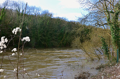 Swollen River Severn, Ironbridge Shropshire