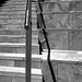 Federation Square, Melbourne, detail_2_bw
