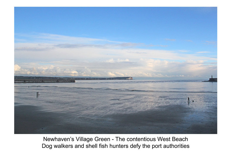 West Beach defiants - Newhaven - 30.1.2014