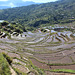 Rice Terraces, Maligcong
