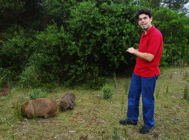 Eros meets some wombats