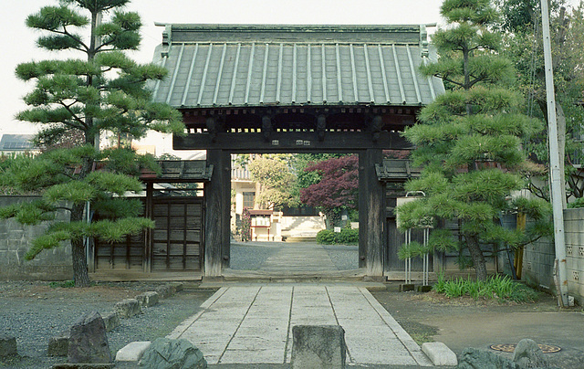 Gate of a temple