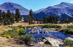 Dana Fork of Tuolumne River, Yosemite NP, Ca, September 1978 (090°)