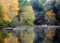 Canoe, autumn