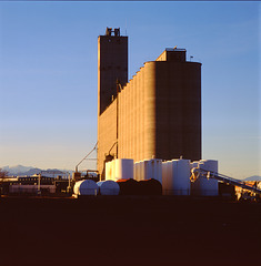 Cargill Grain Elevator