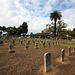 Angelus Rosedale Cemetery (3883)
