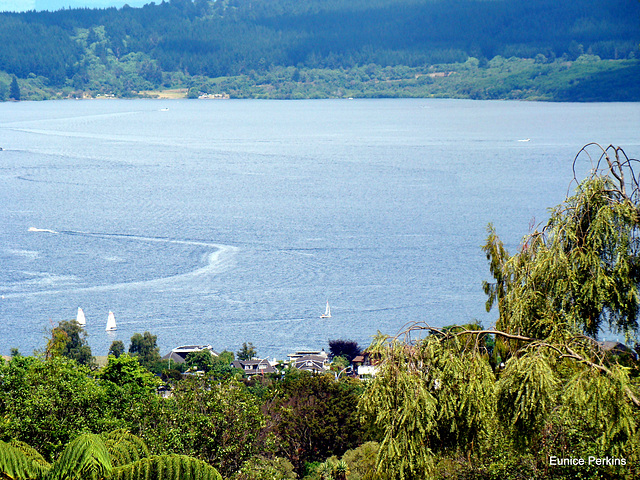 Overlooking Lake Taupo
