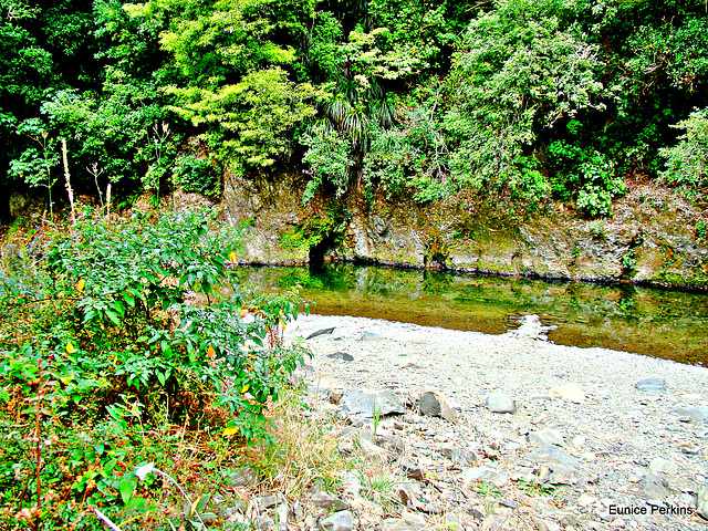 Waioeka River
