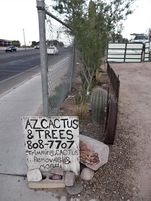 Parlons cactus / Cactus language