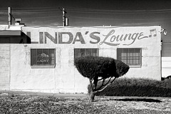 Linda's Lounge ♫
