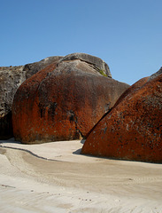 Rocks like elephant seals