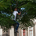 Leidens Ontzet 2013 – Fierljeppen – Tying his shorts on a tree branch