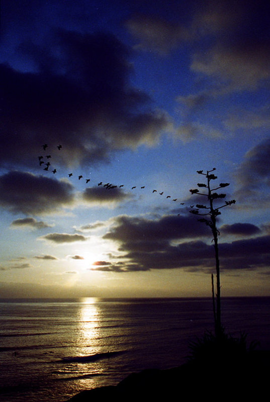 Sunset at Sunset Cliffs, San Diego