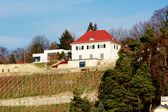 Villa über der Elbe