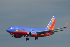 Southwest B737 at FLL - 26 January 2014