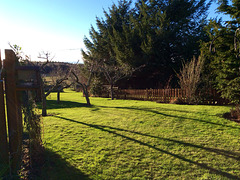 Winter sunshine in Moray