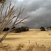 darkening clouds, Stokes Bay Road_1