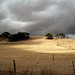 darkening clouds, Stokes Bay Road_2