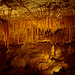 Victoria Fossil Cave, Naracoorte_3