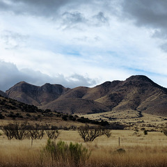 Mustang Mountains