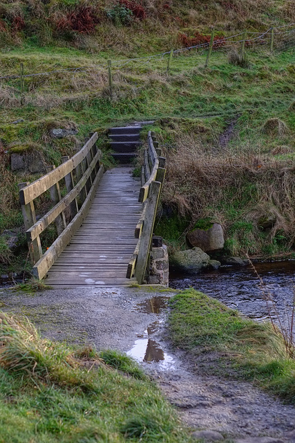 the footbridge