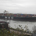Containerschiff   MSC   BARBARA