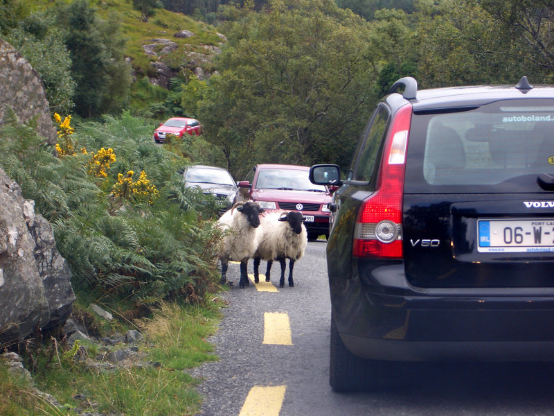 Irish traffic