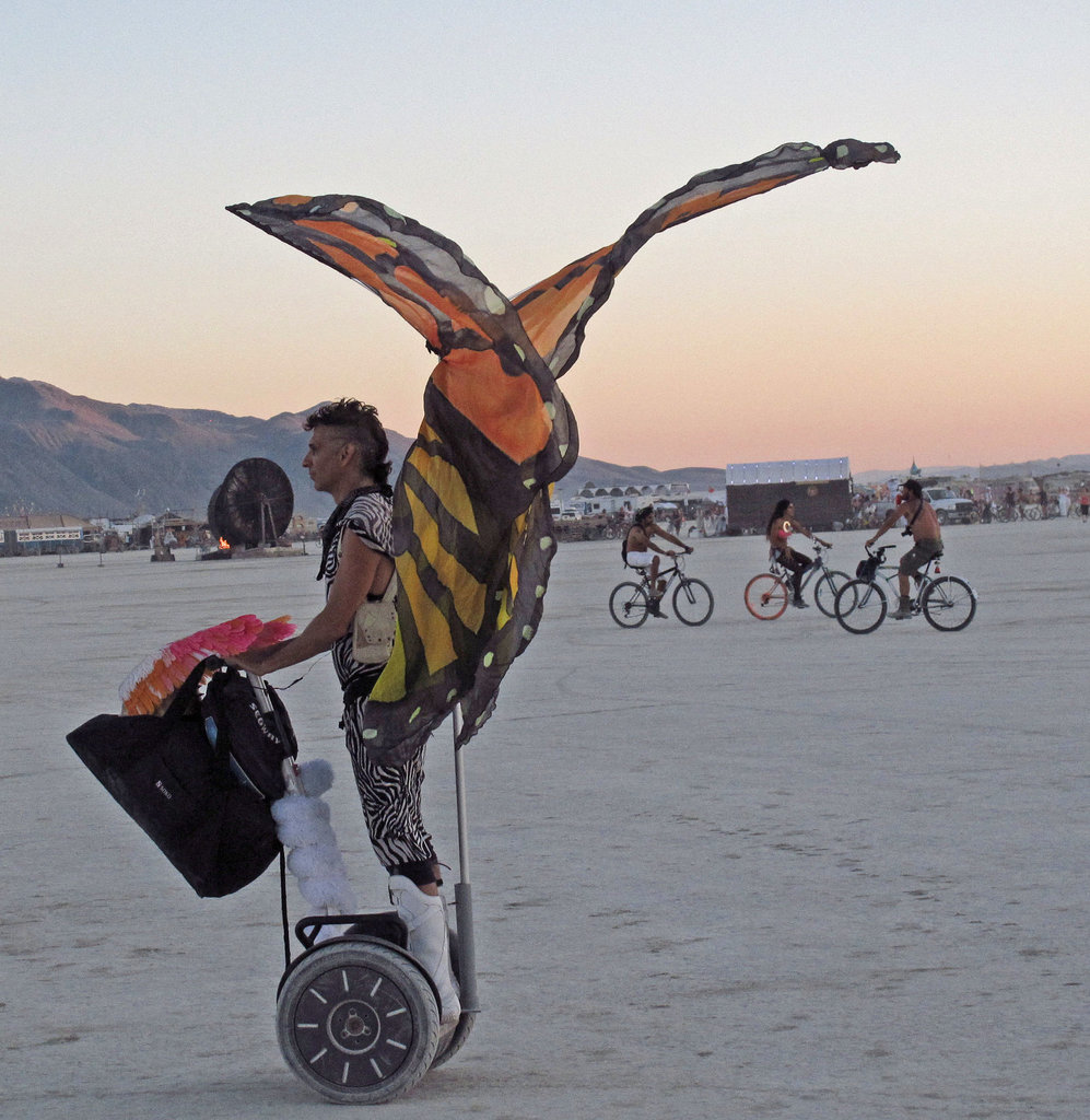 Segway Butterfly (0521)