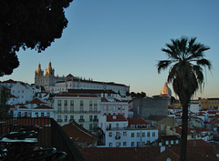 Boa noite, Lisboa