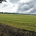 View over Wanborough field to Hogs Back Panorama
