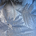 Ice ferns Jan 2014DSC 7895b
