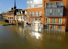 Windsor Floods XF1 Would You Buy One of These Flats 2