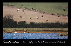 Widgeon over the Cuckmere meanders - 20.12.2013