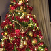 The Christmas tree of 2013