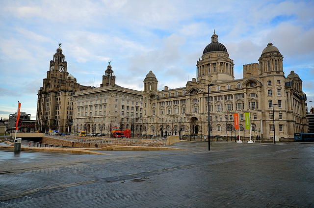 Liver Buildings