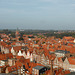 Blick vom Wasserturm über Lüneburg