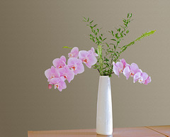 Orchideen in hoher weißer Vase