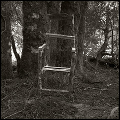 Forest Chair #2
