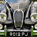 1955 Jaguar XK - 9012 PJ