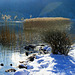 The quiet place at the Weissensee in winter. ©UdoSm
