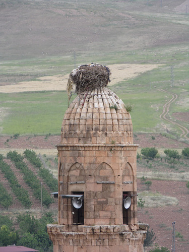 Stork Nest Atop a Minaret, Hasankeyf