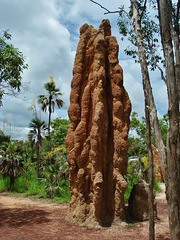 Cathedral termites mound