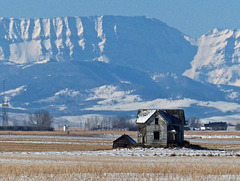 Old prairie homestead
