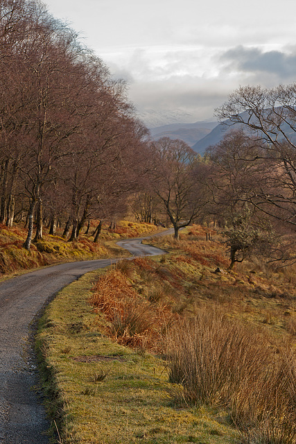 The road to Taynuilt